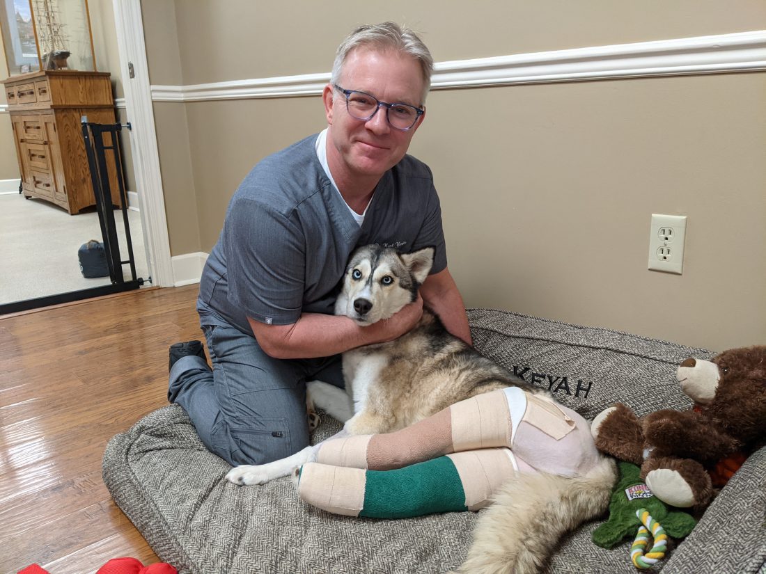 Wheeling veterinarian has dog hit by car in on the long road to